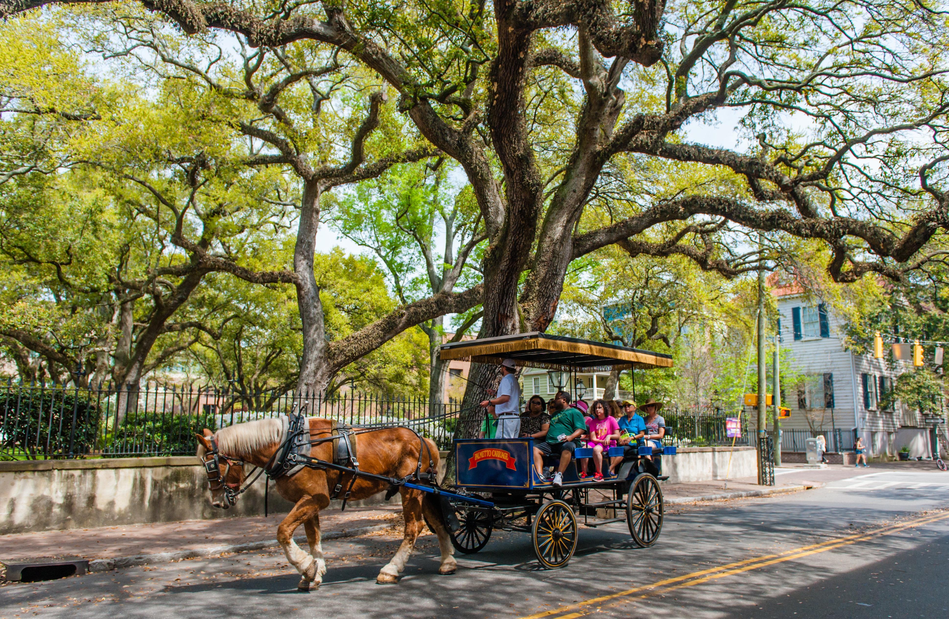 Candlewood Charleston-northwoods By Ihg Hotel 3*